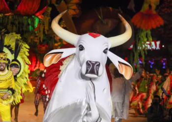 Festival de Parintins 2025: Boi Garantido levanta o troféu