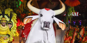 Festival de Parintins 2025: Boi Garantido levanta o troféu