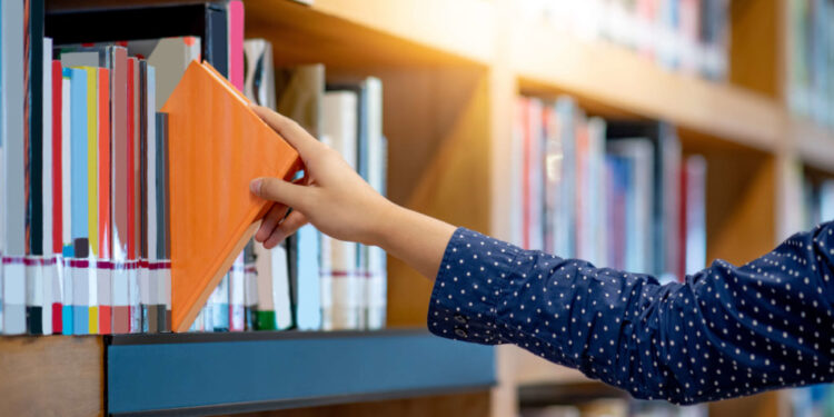 Férias de julho: veja 9 livros indicados para quem quer estudar história