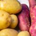 "No pain, no gain": batata doce ou inglesa? Veja qual é a melhor para dieta e treino