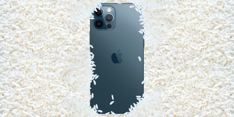 Colocar celular molhado no arroz funciona?