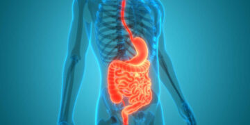 Como melhor a sua digestão para não ficar inchado após comer