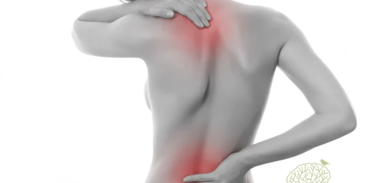 O que é a fibromialgia, doença que será considerada deficiência a partir de 2026