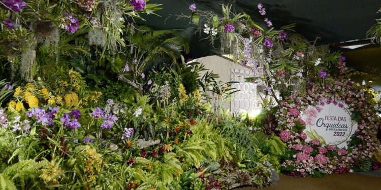 "Cidade das orquídeas" de São Paulo é o maior laboratório da planta na América Latina; veja qual pe