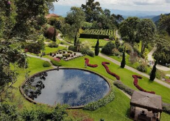 Parque de SP foi eleito uma das melhores atrações de turismo; veja qual é!