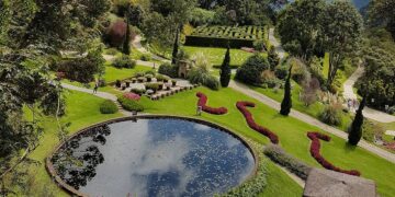 Parque de SP foi eleito uma das melhores atrações de turismo; veja qual é!