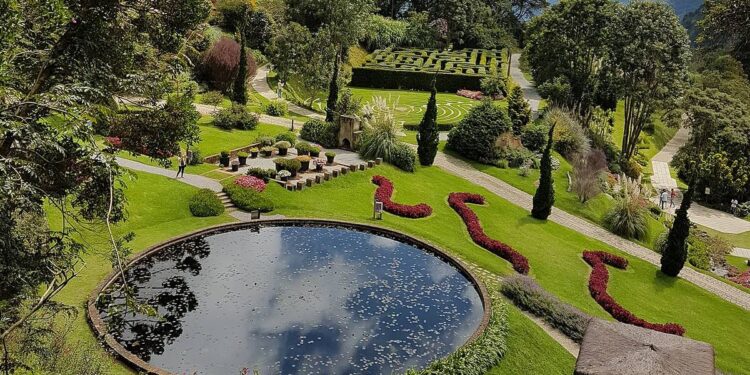 Parque de SP foi eleito uma das melhores atrações de turismo; veja qual é!