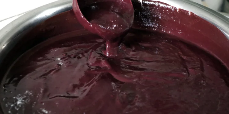 Nem açaí, nem tucupi, nem maniçoba em Belém? Entenda a polêmica do COP30 e se os alimentos estão proibidos