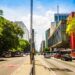 Vai viajar para São Paulo em setembro? Veja como aproveitar a cidade!
