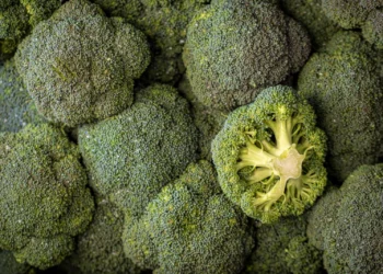 Além do fígado, veja quais são os alimentos que podem AJUDAR a limpar o cólon