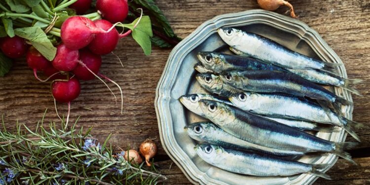 Esse peixe enlatado é MELHOR que a sardinha, salmão e o atum para a sua saúde; veja qual e