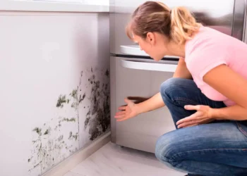 Recado para as donas de casa: não jogue água sanitária nas paredes para retirar mofo