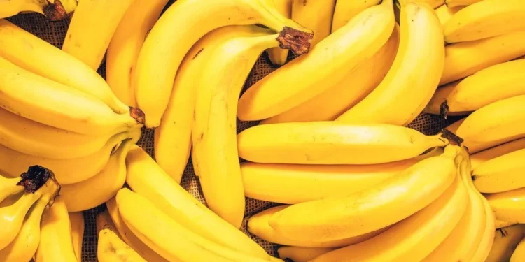 Esses 9 alimentos NÃO DEVEM ser colocados na geladeira; descubra o motivo