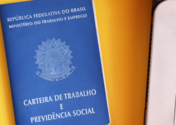 CLT ou MEI: como escolher entre as duas opções? Especialista explica benefícios de cada uma