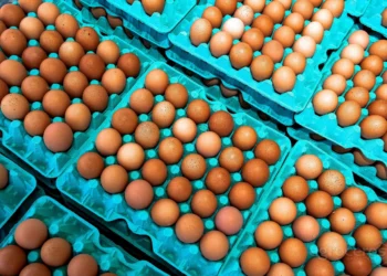 Existe diferença entre o ovo branco e o marrom? Veja 5 curiosidades sobre a proteína