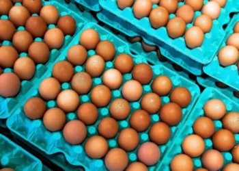 Nem margarina, nem azeite: veja o ingrediente para usar na hora de fritar ovo