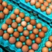 Nem margarina, nem azeite: veja o ingrediente para usar na hora de fritar ovo