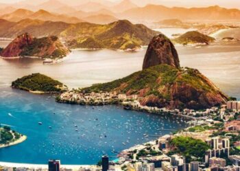 Município do Rio de Janeiro tem pedaço da Mata Atlântica e concentração de onças-pardas