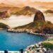 Município do Rio de Janeiro tem pedaço da Mata Atlântica e concentração de onças-pardas