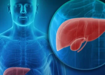 Gordura no fígado: veja o que pode causar e como evitar