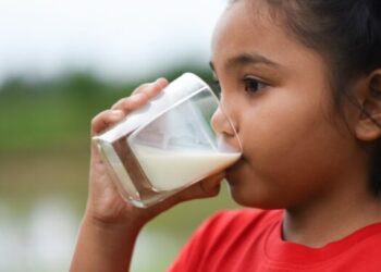 Leite vegetal tem mais cálcio que o leite da vaga, veja o motivo