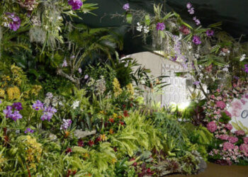 Cidade do interior de São Paulo virou uma das melhores cidades para se viver no Brasil