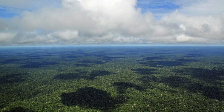 Maior ponte do Norte conecta Pará e Amapá e ajudam no desenvolvimento da Amazônia