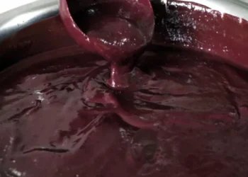 Após COP20, empreendedores tem aumento nas vendas no Pará