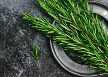 Esse alimento pode ajudar fora da cozinha e mudar o seu jardim! Entenda