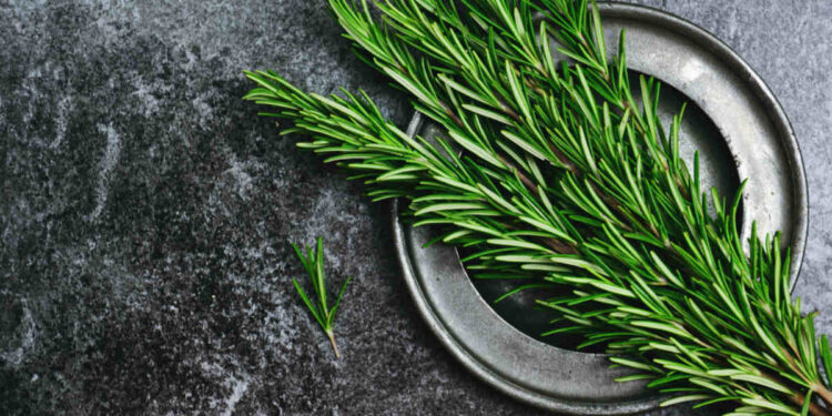 Esse alimento pode ajudar fora da cozinha e mudar o seu jardim! Entenda