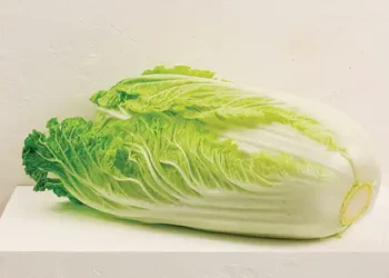 Nem acelga, nem espinafre: esse é o vegetal mais saudável; veja como preparar