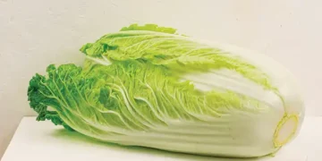 Nem acelga, nem espinafre: esse é o vegetal mais saudável; veja como preparar