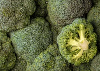 Essa é a melhor forma de preparar o brócolis e manter as vitaminas