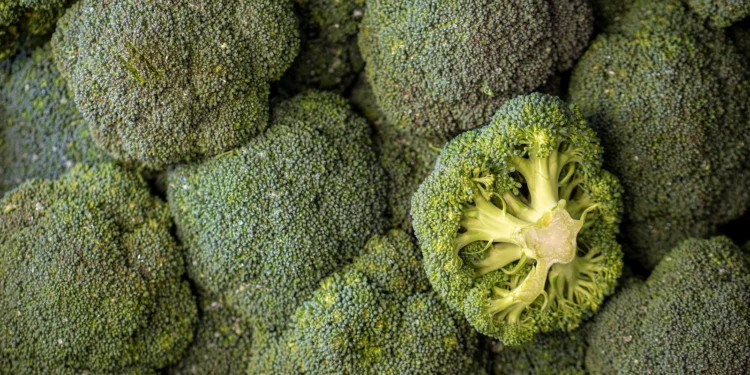 Essa é a melhor forma de preparar o brócolis e manter as vitaminas