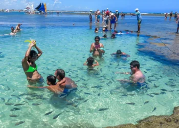 Porto de Galinhas ganha destaque e procura no Google aumenta em 400% depois de agressões