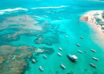 Após polêmica em Porto de Galinhas, Procon diz que é proibido cobrar consumo mínimo em barracas de praia